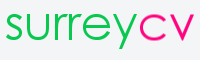 professional cv services London